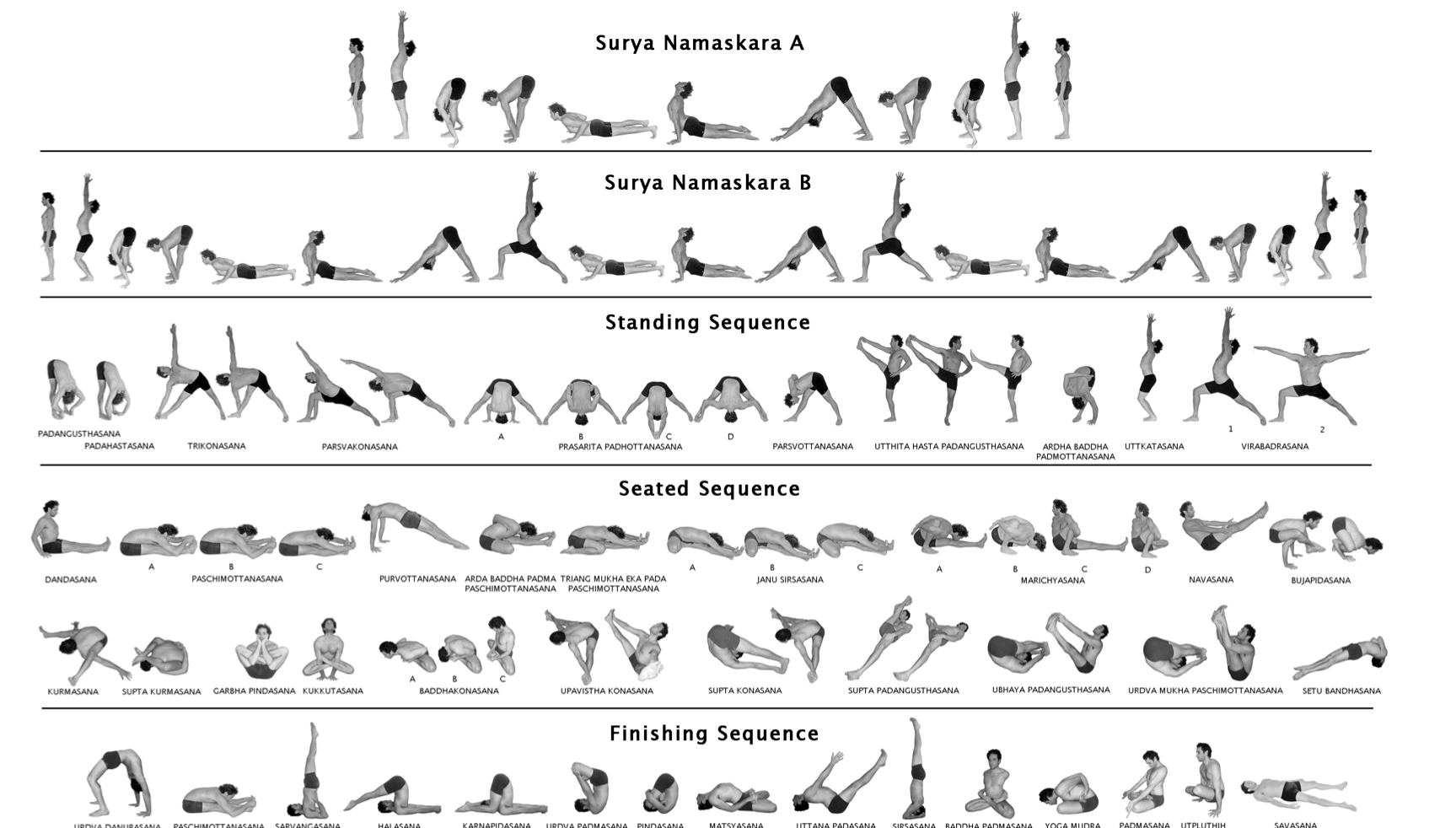 type de série proposée en hatha-yoga